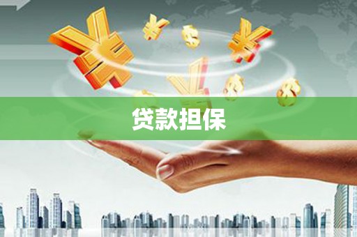 汤原贷款担保