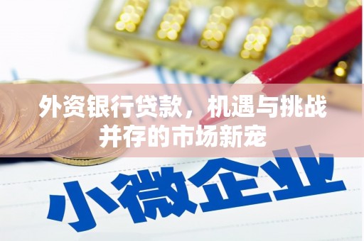 汤原外资银行贷款，机遇与挑战并存的市场新宠
