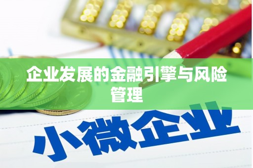 汤原企业发展的金融引擎与风险管理