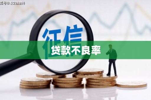 汤原贷款不良率
