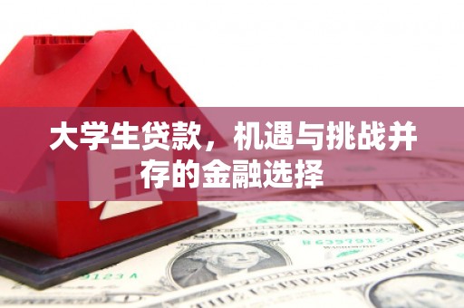 汤原大学生贷款，机遇与挑战并存的金融选择