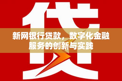 汤原新网银行贷款，数字化金融服务的创新与实践