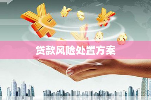 汤原贷款风险处置方案