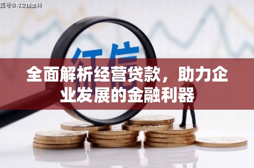 汤原全面解析经营贷款，助力企业发展的金融利器