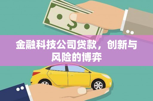 汤原金融科技公司贷款，创新与风险的博弈