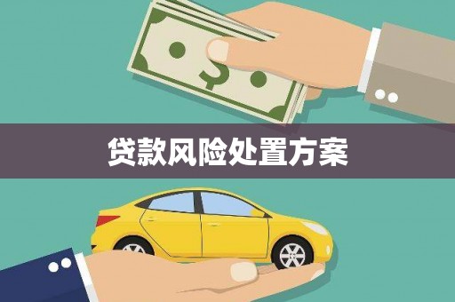 汤原贷款风险处置方案