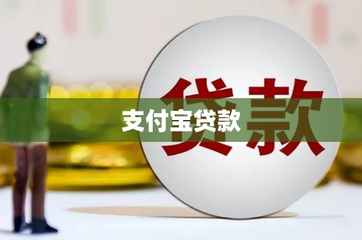 汤原支付宝贷款