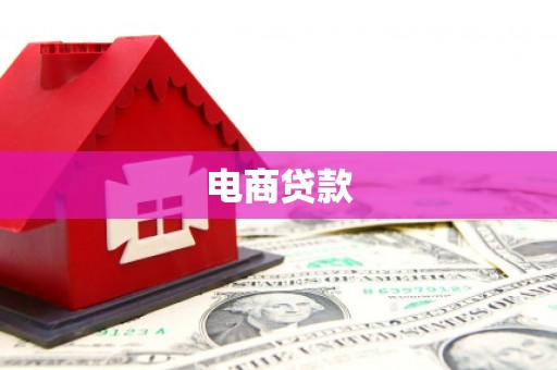 汤原电商贷款