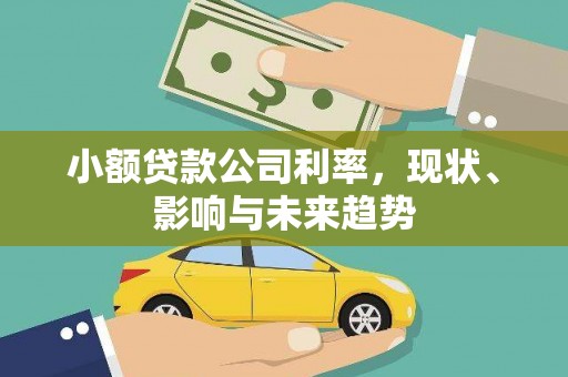 汤原小额贷款公司利率，现状、影响与未来趋势