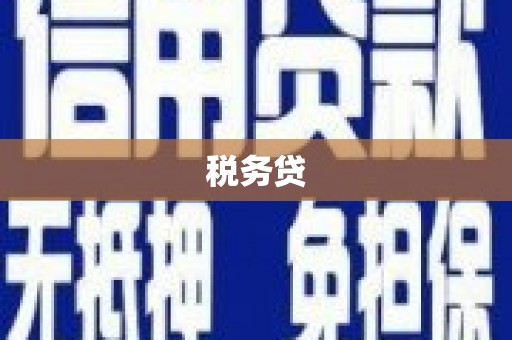 汤原税务贷