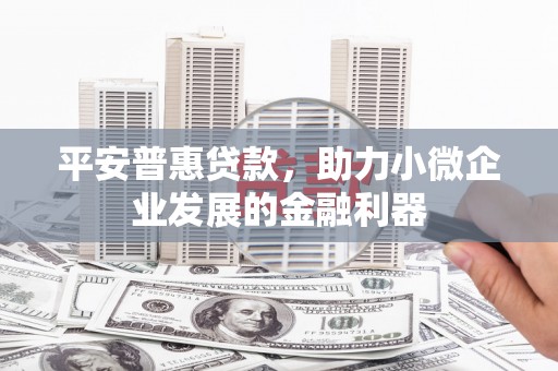 汤原平安普惠贷款，助力小微企业发展的金融利器