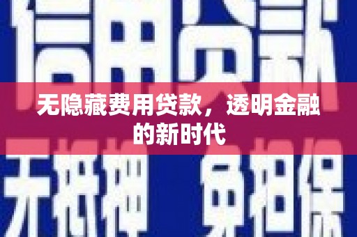 汤原无隐藏费用贷款，透明金融的新时代