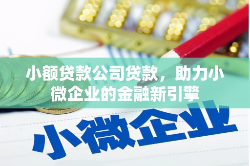 汤原小额贷款公司贷款，助力小微企业的金融新引擎