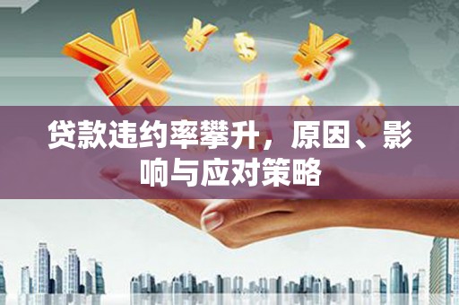 汤原贷款违约率攀升，原因、影响与应对策略