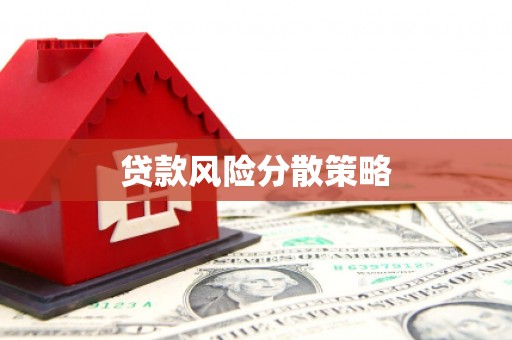 汤原贷款风险分散策略