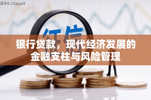 汤原银行贷款，现代经济发展的金融支柱与风险管理