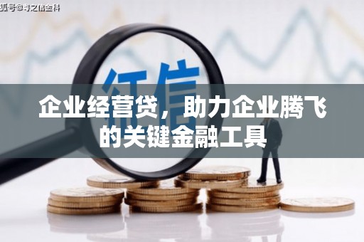 汤原企业经营贷，助力企业腾飞的关键金融工具
