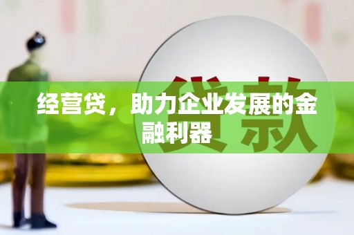 汤原经营贷，助力企业发展的金融利器