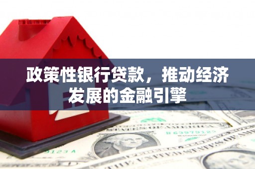 汤原政策性银行贷款，推动经济发展的金融引擎