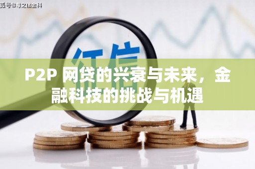 汤原P2P 网贷的兴衰与未来，金融科技的挑战与机遇