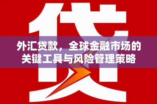 汤原外汇贷款，全球金融市场的关键工具与风险管理策略