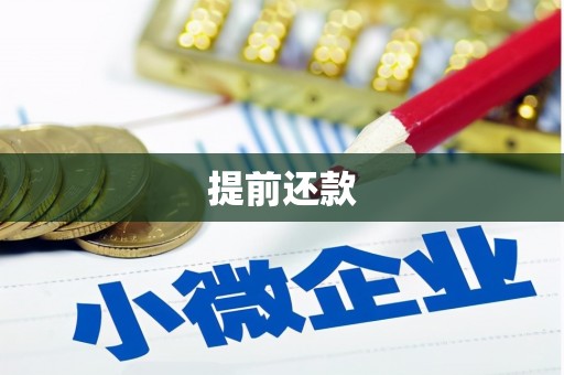 汤原提前还款