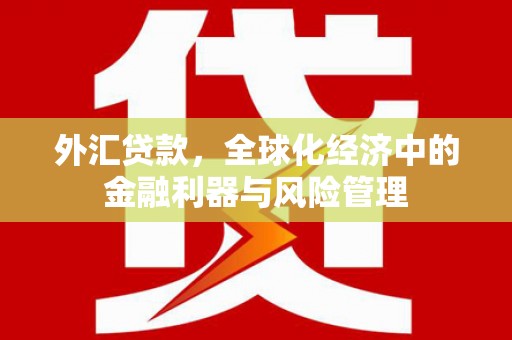 汤原外汇贷款，全球化经济中的金融利器与风险管理