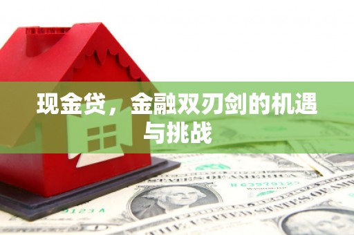 汤原现金贷，金融双刃剑的机遇与挑战