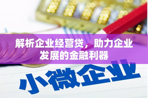 汤原解析企业经营贷，助力企业发展的金融利器