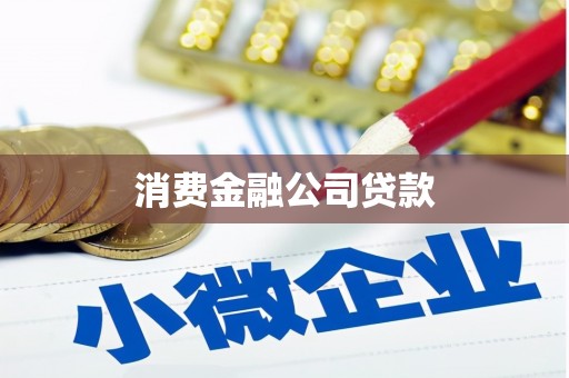 汤原消费金融公司贷款