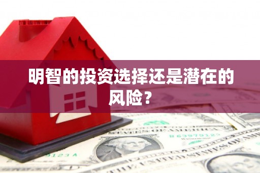 汤原明智的投资选择还是潜在的风险？