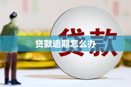 汤原贷款逾期怎么办