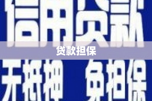汤原贷款担保