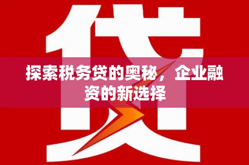 汤原探索税务贷的奥秘，企业融资的新选择