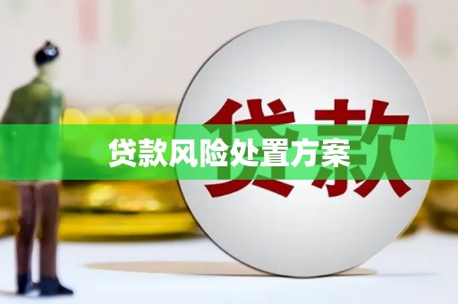 汤原贷款风险处置方案