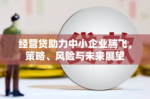 汤原经营贷助力中小企业腾飞，策略、风险与未来展望