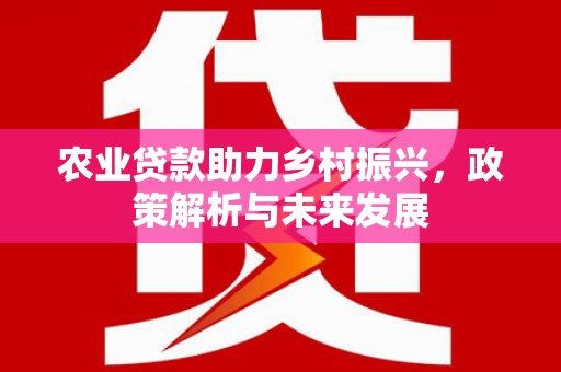 汤原农业贷款助力乡村振兴，政策解析与未来发展