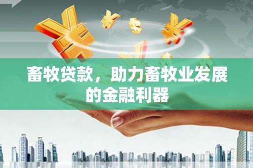 汤原畜牧贷款，助力畜牧业发展的金融利器