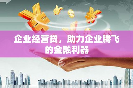 汤原企业经营贷，助力企业腾飞的金融利器