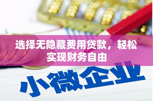汤原选择无隐藏费用贷款，轻松实现财务自由