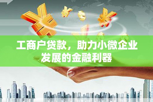 汤原工商户贷款，助力小微企业发展的金融利器