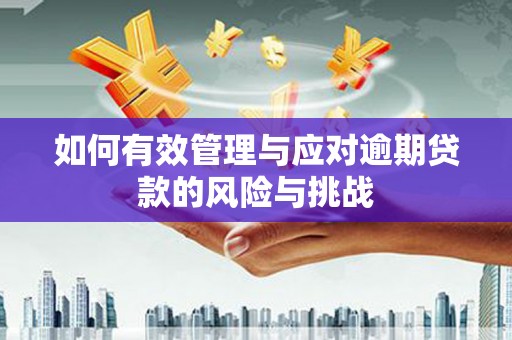汤原如何有效管理与应对逾期贷款的风险与挑战