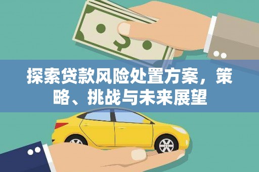 汤原探索贷款风险处置方案，策略、挑战与未来展望