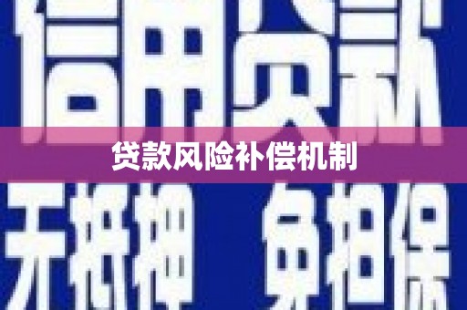 汤原贷款风险补偿机制