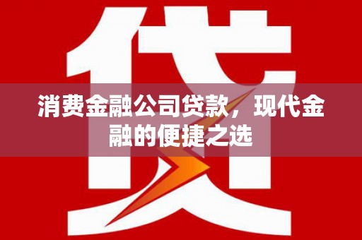 汤原消费金融公司贷款，现代金融的便捷之选