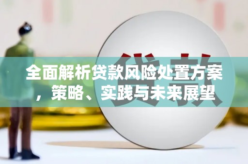 汤原全面解析贷款风险处置方案，策略、实践与未来展望