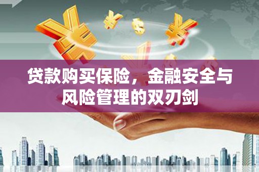 汤原贷款购买保险，金融安全与风险管理的双刃剑