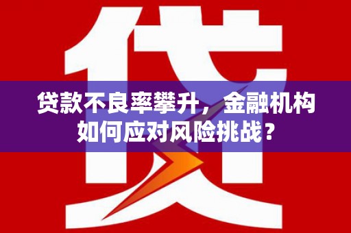 汤原贷款不良率攀升，金融机构如何应对风险挑战？