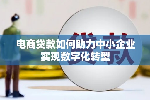 汤原电商贷款如何助力中小企业实现数字化转型