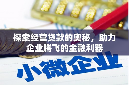 汤原探索经营贷款的奥秘，助力企业腾飞的金融利器